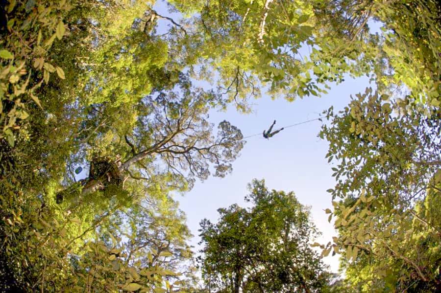 Storms River: Tsitsikamma National Park Zipline Canopy Tour - Who should book this activity