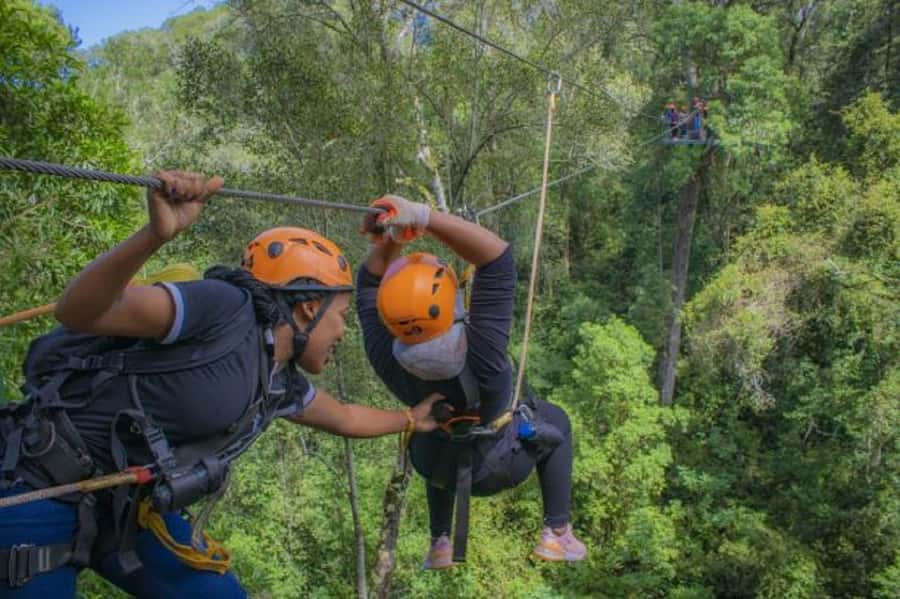 Storms River: Tsitsikamma National Park Zipline Canopy Tour - What to bring and what to leave behind
