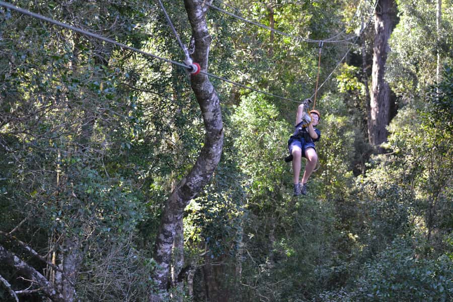 Storms River: Tsitsikamma National Park Zipline Canopy Tour - Should you book the Tsitsikamma canopy tour?