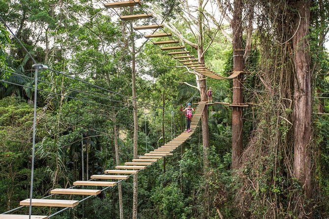 Sunshine Coast Adventure Park TreeTop Challenge - Key points to know before you book