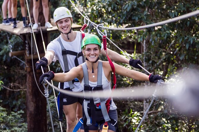 Sunshine Coast Adventure Park TreeTop Challenge - The Big Pineapple becomes your starting point