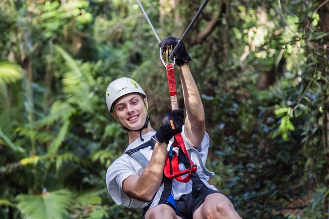Sunshine Coast Adventure Park TreeTop Challenge - The ziplines are the big payoff
