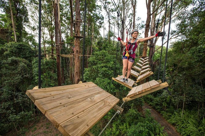 Sunshine Coast Adventure Park TreeTop Challenge - How difficult is the physical work?