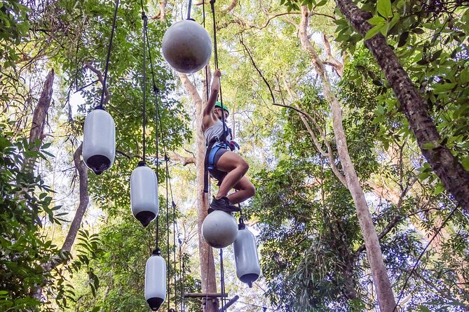 Sunshine Coast Adventure Park TreeTop Challenge - Family suitability depends on the person, not just the age