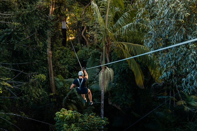 Sunshine Coast Adventure Park TreeTop Challenge - Is $50.21 good value?