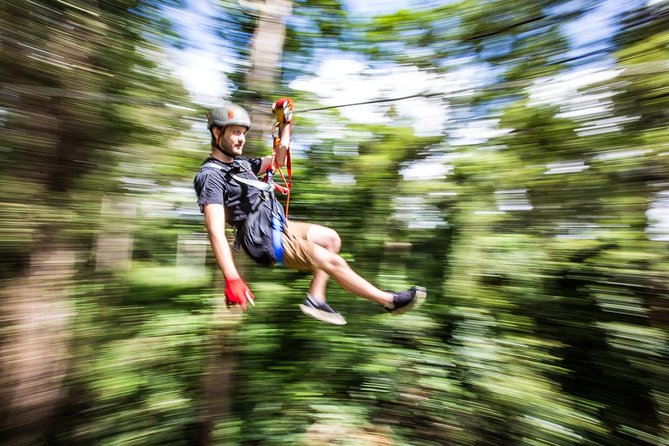 Sunshine Coast Adventure Park TreeTop Challenge - The six courses build from easy to extreme