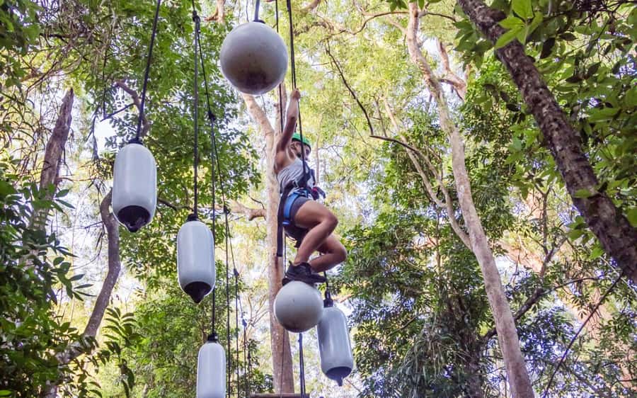Sunshine Coast: Treetop Challenge Adventure Park - Key points before you book