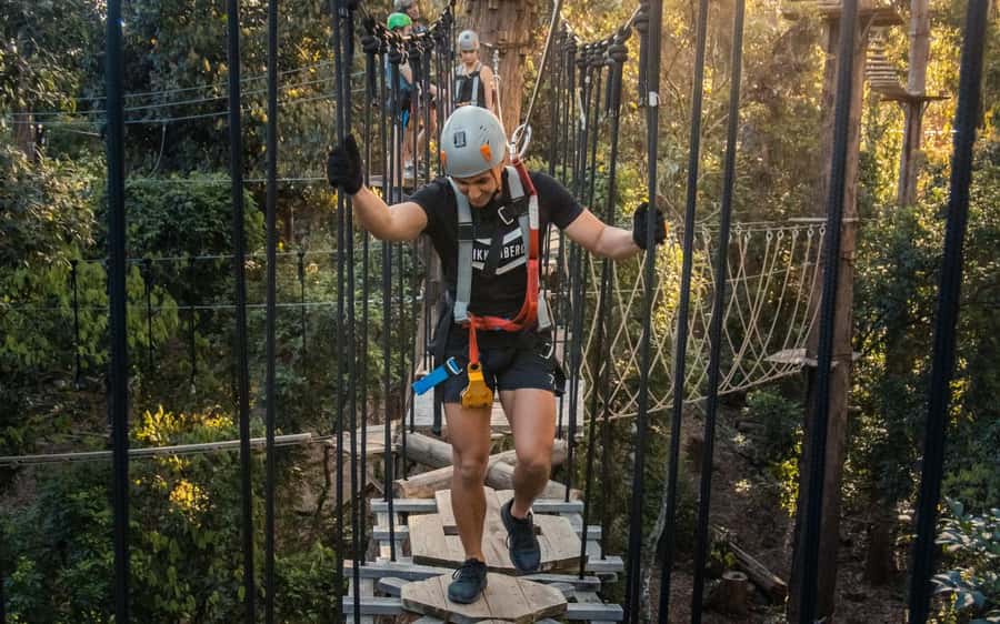 Sunshine Coast: Treetop Challenge Adventure Park - The black circuits are the real test