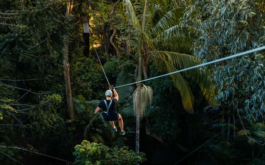 Sunshine Coast: Treetop Challenge Adventure Park - Ziplines bring speed and relief