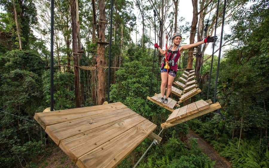 Sunshine Coast: Treetop Challenge Adventure Park - Getting started on the first two courses