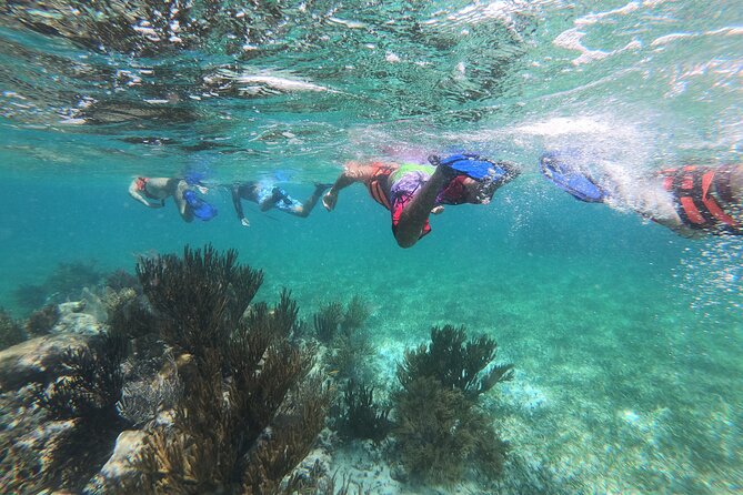 Super Combo ATV in Cancun with Zipline, Snorkel, Cenote, transfer - A full day from Cancun to Puerto Morelos