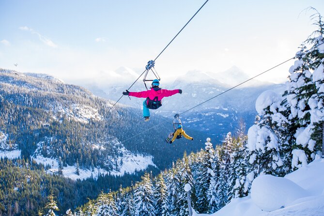 Superfly Ziplines on Cougar Mountain - includes 4 ziplines! - Four lines across Cougar Mountain