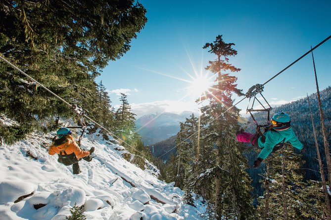 Superfly Ziplines on Cougar Mountain - includes 4 ziplines! - Flying beside your partner