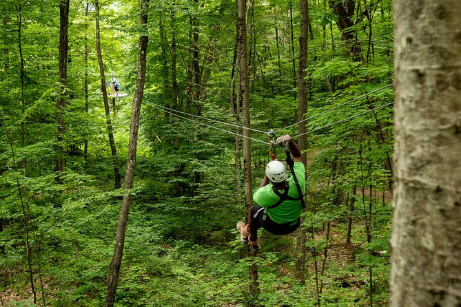 Superman Zipline Tour in Morningside - Seven lines through the Morningside woods