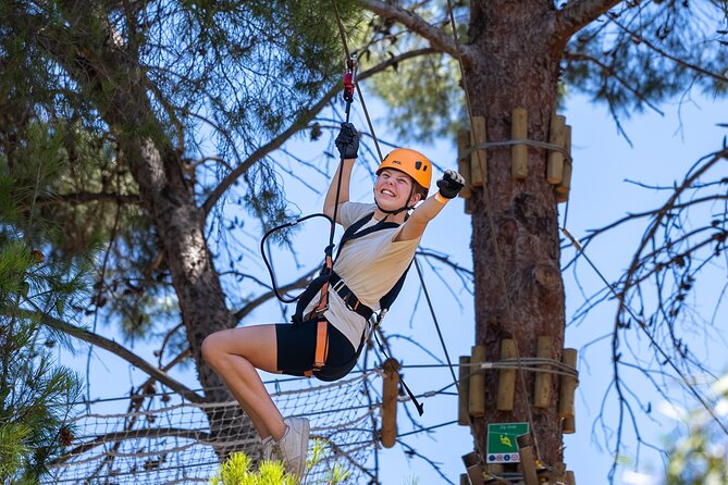 Take the Challenge and Conquer the Salisbury Treetops - What happens during the two-hour session