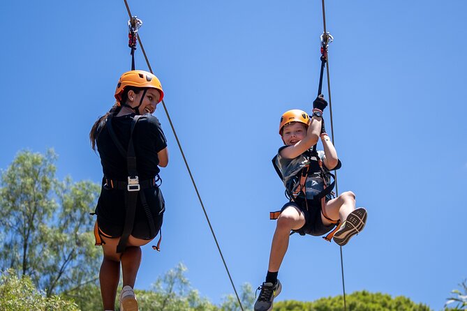 Take the Challenge and Conquer the Salisbury Treetops - Is the $37.30 price good value?