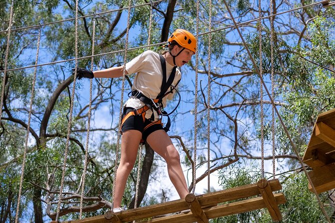 Take the Challenge and Conquer the Salisbury Treetops - The obstacles, ziplines, and Tarzan swing