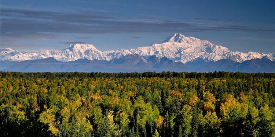 Talkeetna: Denali Zipline Tours - What the zipline course actually includes