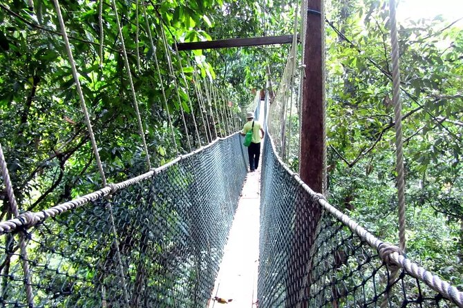 Taman Negara Day Tour with Canopy Walk - The 5:30 am Start and the Long Ride South