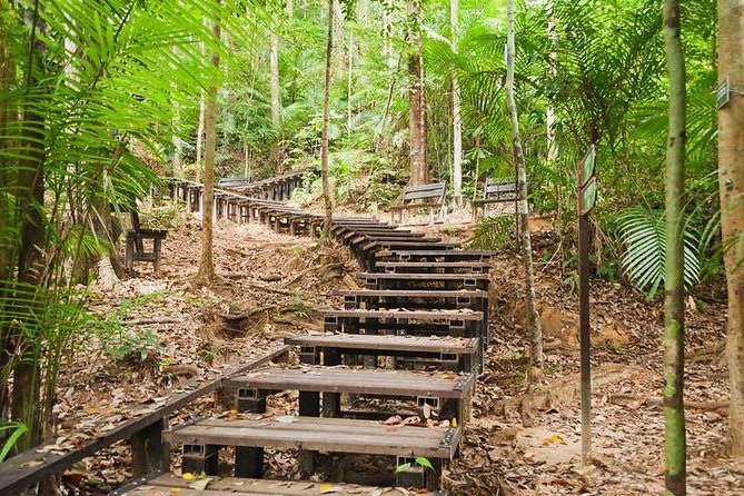 Taman Negara Day Tour with Canopy Walk - Teresek Hill: A Short Forest Introduction