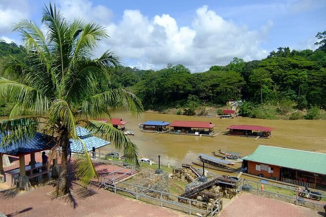 Taman Negara National Park Day Excursion from Kuala Lumpur PVT - Leaving Kuala Lumpur at 6:00 am
