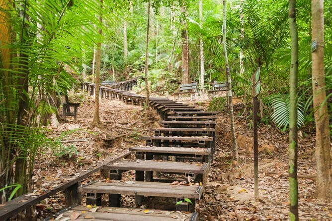 Taman Negara National Park Day Excursion from Kuala Lumpur PVT - What the feedback tells me to watch