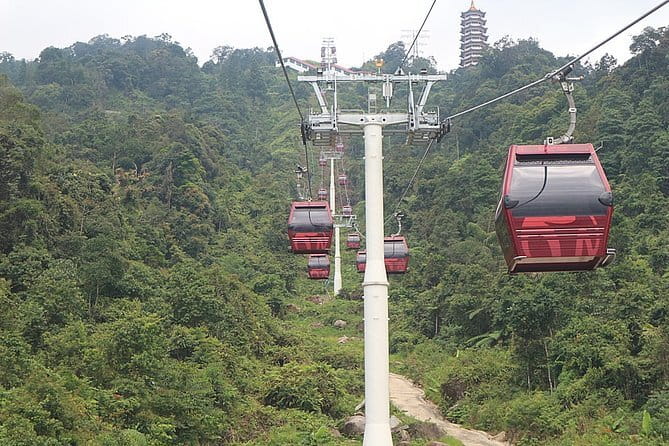 Taman Negara National Park Day Excursion from Kuala Lumpur PVT - Who should book this Kuala Lumpur excursion