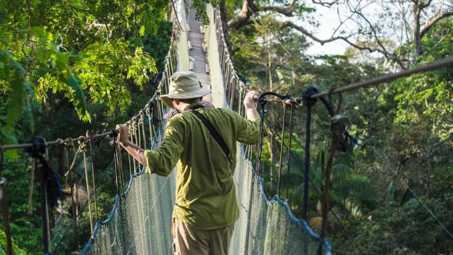 Tambopata: Zipline Adventure & Kayak to Monkey Island - Key points to know before booking
