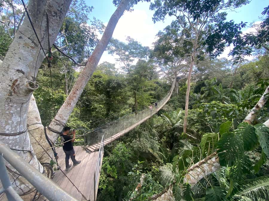 Tambopata: Zipline Adventure & Kayak to Monkey Island - Monkey Island and the capuchin encounter