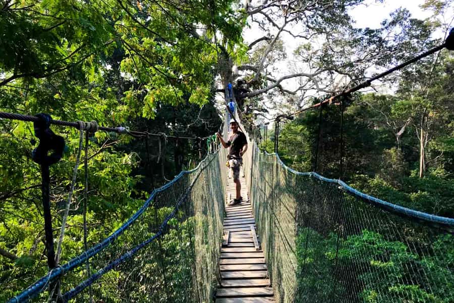 Tambopata: Zipline Adventure & Kayak to Monkey Island - What the $59 price includes