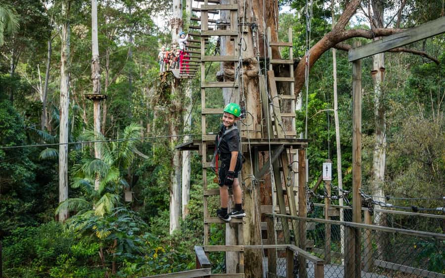 Tamborine Mountain: TreeTop Challenge Adrenaline Pass - Key points at a glance