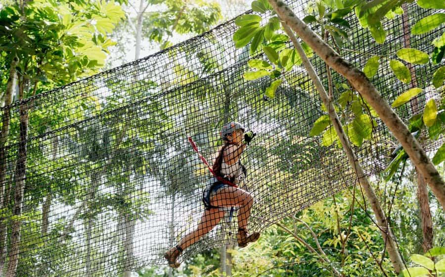 Tamborine Mountain: TreeTop Challenge Adrenaline Pass - Two Tamborine Mountain adventures in one pass