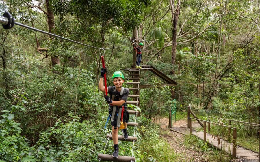 Tamborine Mountain: TreeTop Challenge Adrenaline Pass - Moving from the zipline to the high ropes park