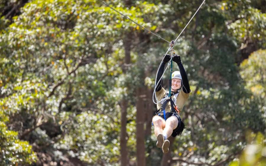 Tamborine Mountain: TreeTop Challenge Adrenaline Pass - The Black Circuit is a real test of nerve