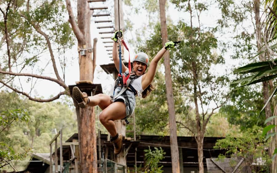 Tamborine Mountain: TreeTop Challenge Adrenaline Pass - Who will enjoy this most?