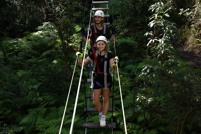 Tamborine Mountain TreeTop Challenge Adventure Park - What the Tamborine Mountain TreeTop Challenge really is