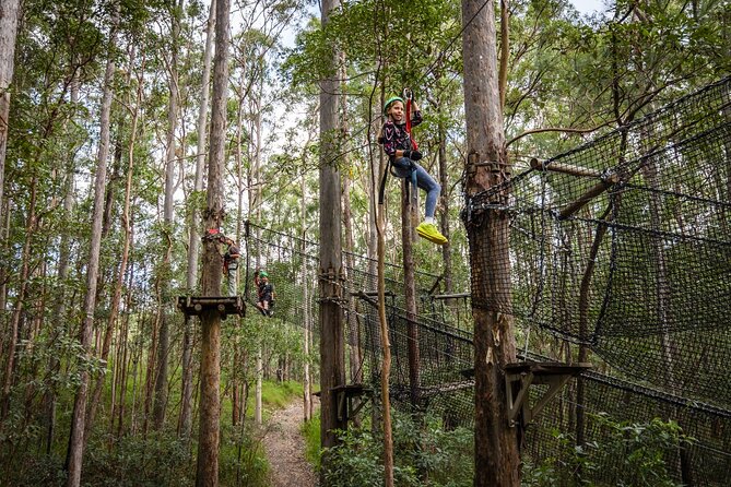 Tamborine Mountain TreeTop Challenge Adventure Park - Starting at Thunderbird Park on Tamborine Mountain