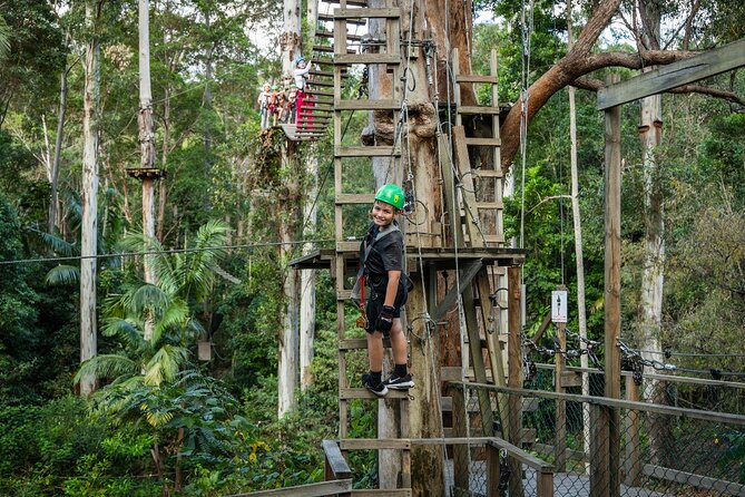 Tamborine Mountain TreeTop Challenge Adventure Park - Ziplines add speed to a strength-heavy activity