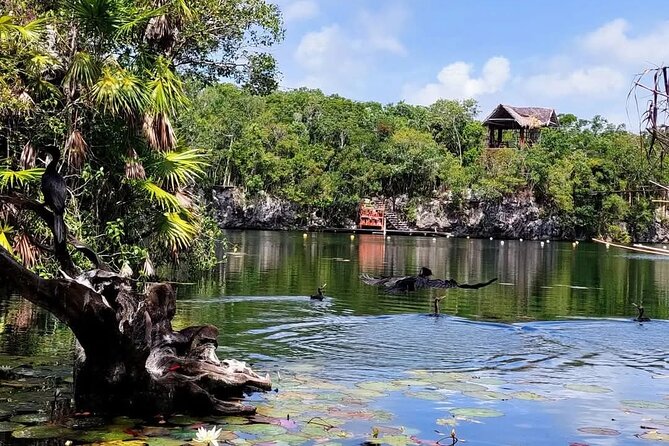Tankah Mayan Village Zipline Nature Park - Three ziplines above the lagoon