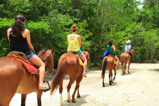 The best ATVs, zipline, cenote tour with lunch and transportation - Zip lines and horseback riding add variety, not necessarily length