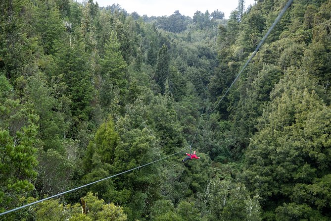 The Ultimate Canopy Zipline Experience Private Tour From Auckland - Coffee at Robert Harris