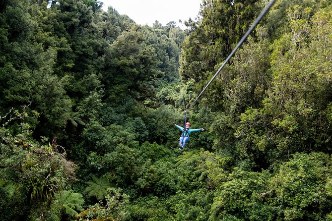 The Ultimate Canopy Zipline Experience Private Tour From Auckland - What the safety and fitness rules mean