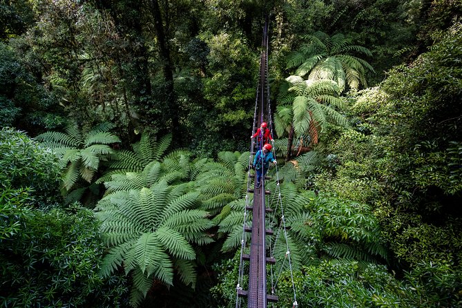 The Ultimate Canopy Zipline Experience Private Tour From Auckland - Leaving Auckland at 6:30 am