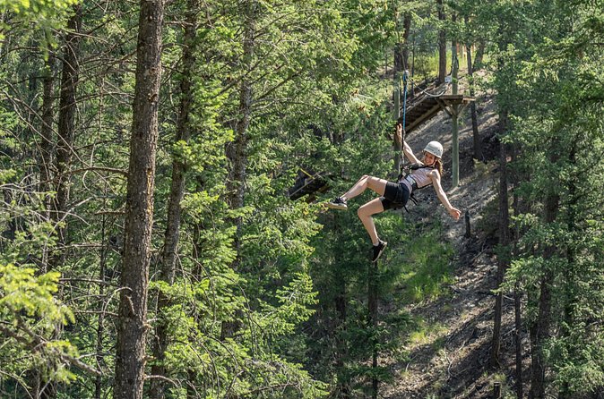 Thrilling 2-Hour Zipline Tour in Radium Hot Springs - Who Will Enjoy This Radium Zipline Tour