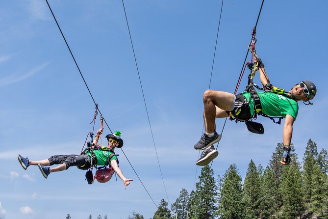 Thrilling 2-Hour Zipline Tour in Radium Hot Springs - The First Five Lines Across the Valley