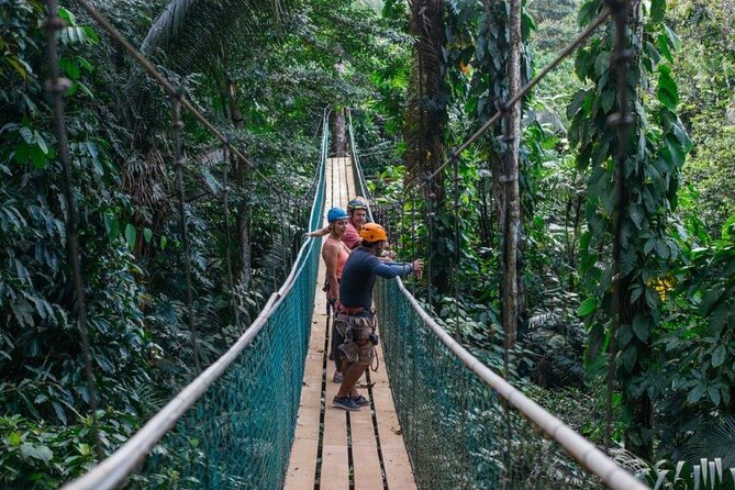 Thrilling Zipline Adventure at Bocawina Rainforest - Flying above the Bocawina rainforest
