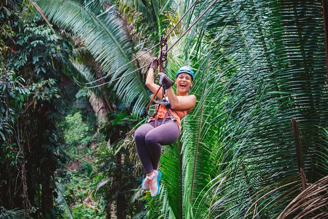 Thrilling Zipline Adventure at Bocawina Rainforest - The platforms, runs, and rainforest views