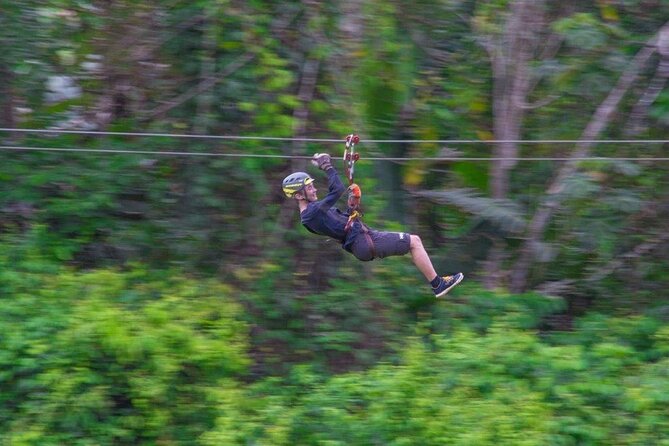 Thrilling Zipline Adventure at Bocawina Rainforest - Who will enjoy this most?