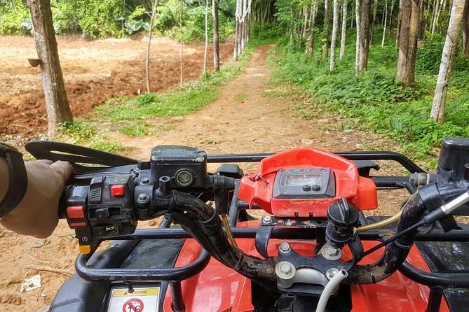 Thrilling Zipline Adventures at Thai'd Up in Krabi's Lush Jungle - Weather and cancellation details