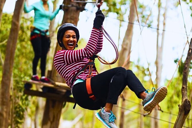 Top Rated Atlas Mountains Zipline from Marrakesh - Should you book the Atlas Mountains zipline?